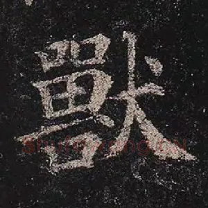 兽