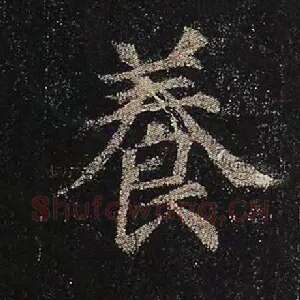 养