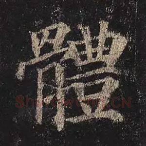 体