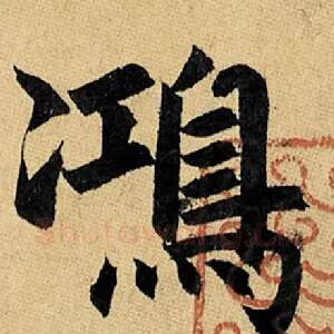 鸿