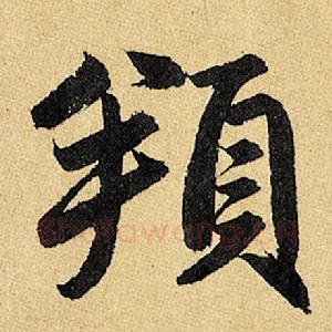 頖