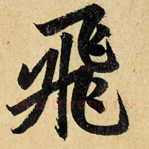 飞