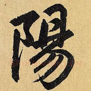 阳