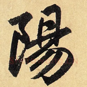 阳