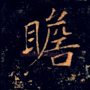 瞻