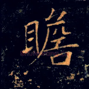 瞻