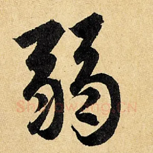 弱