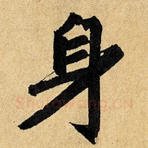 身