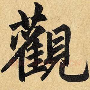 观