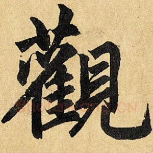 观