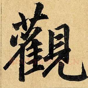 观