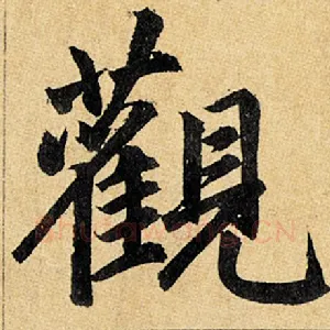 观