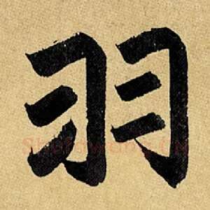 羽