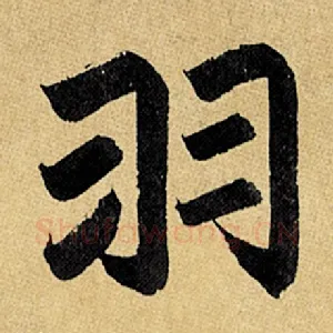 羽