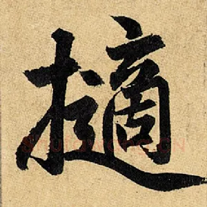擿