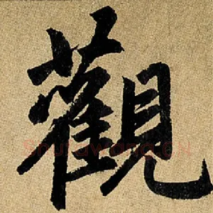 观