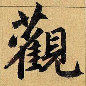 观