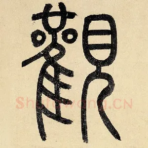 观