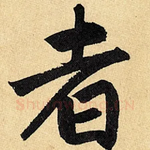 者