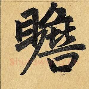瞻