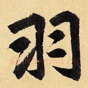 羽