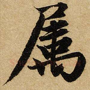 属