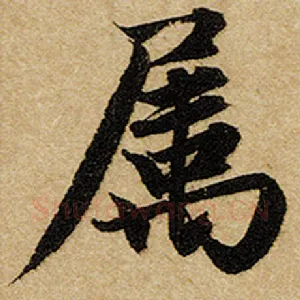 属