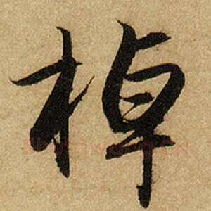 棹