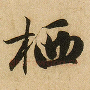 栖