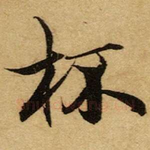 杯