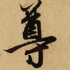 尊