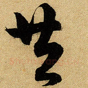 共