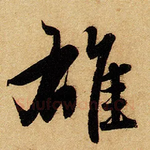 雄