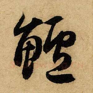 鲈