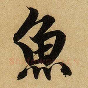 鱼