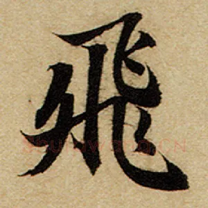 飞