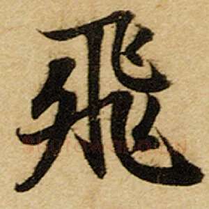 飞