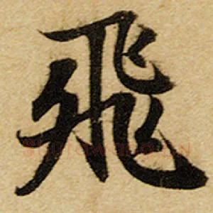 飞