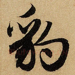 豹