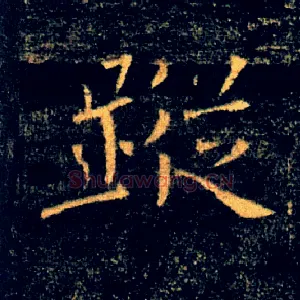 蹤
