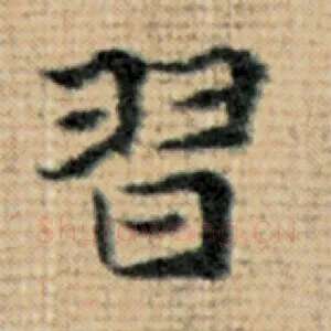 习