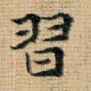习