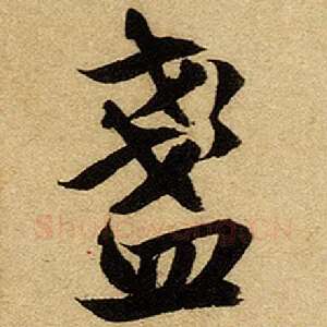 盏