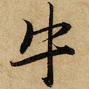 牛