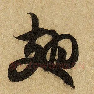 翅