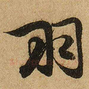 羽