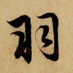 羽