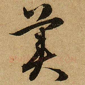 美