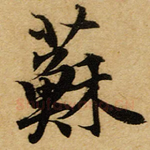 苏