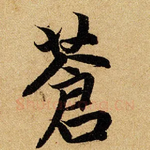 苍